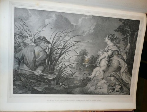 Illustration # 142, after Rubens